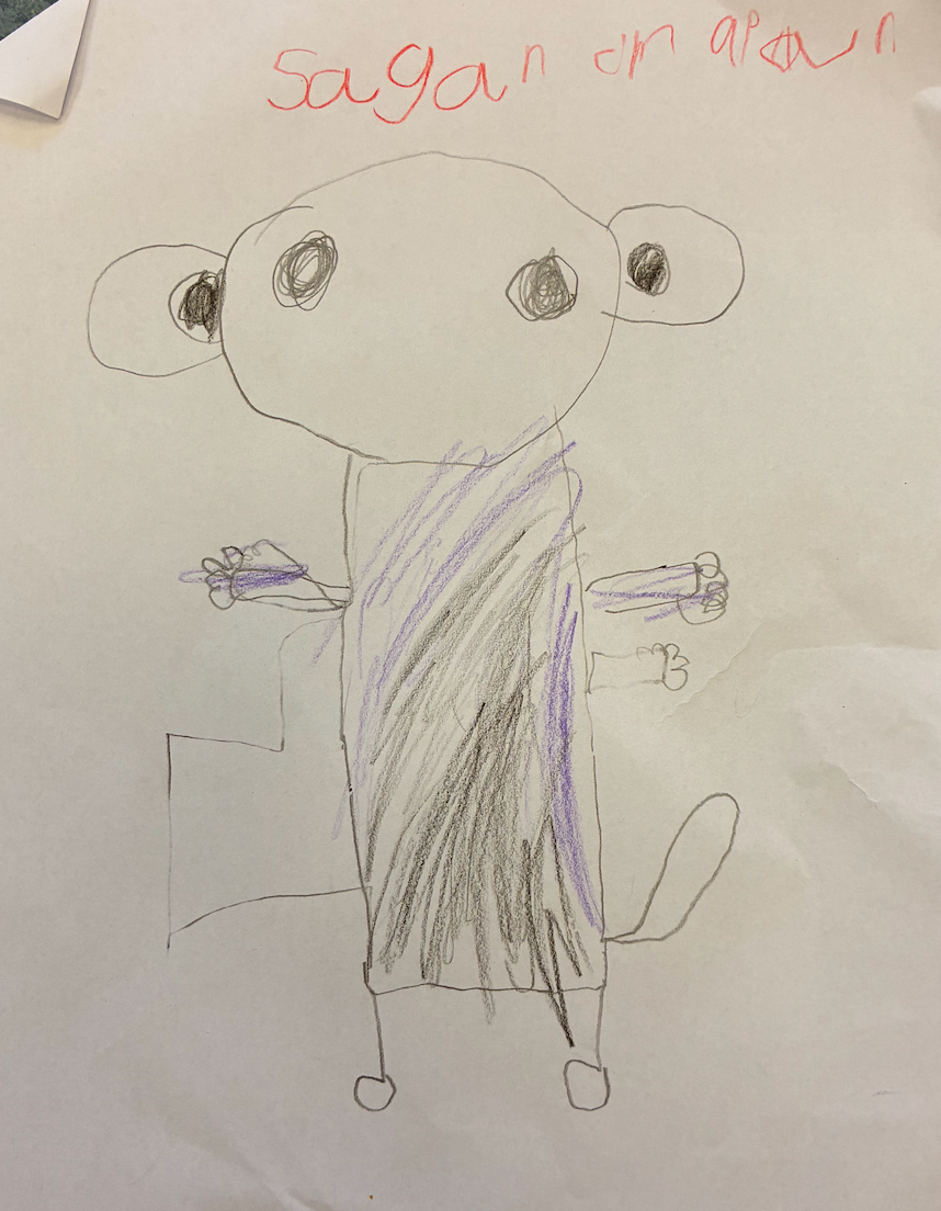 Ingen bild tillgänglig