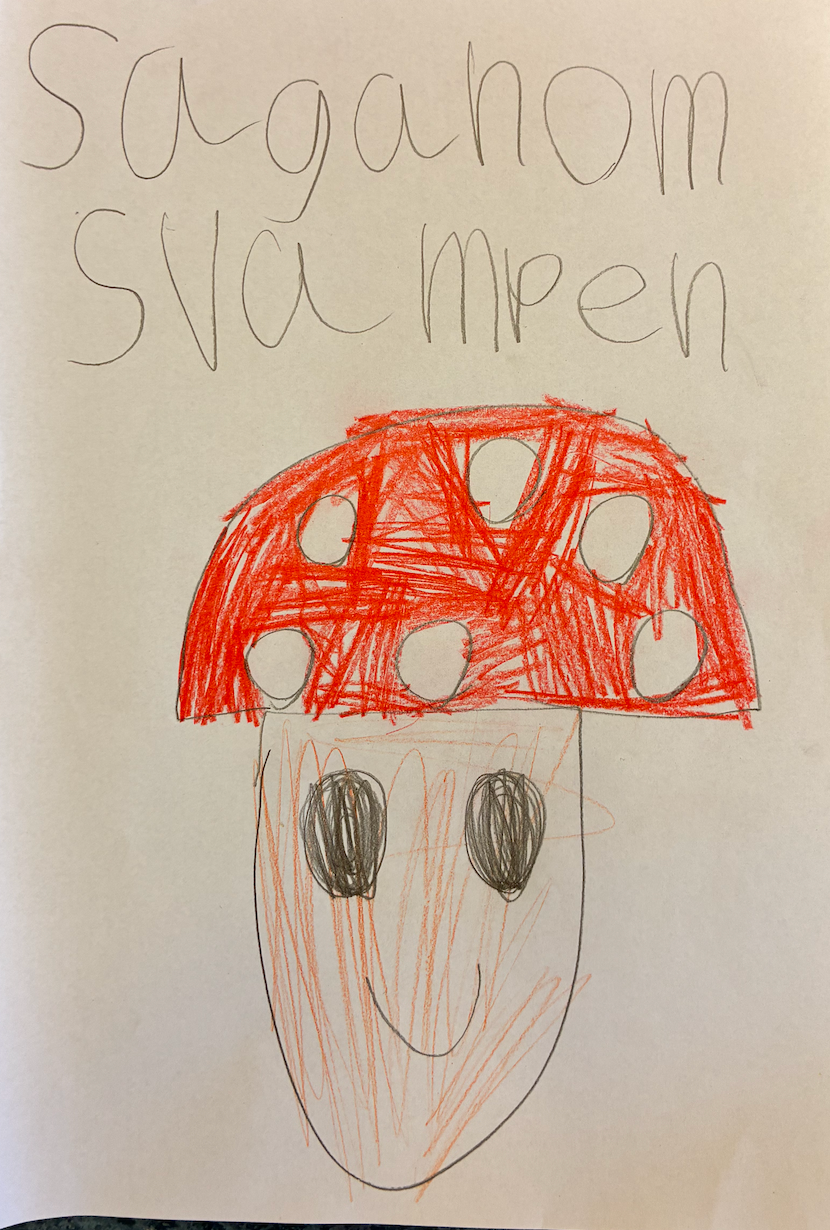 Ingen bild tillgänglig