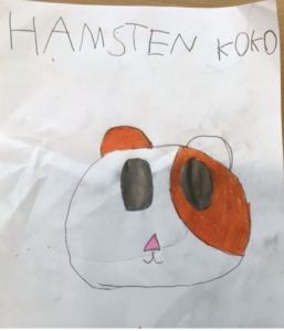 Hamstern koko