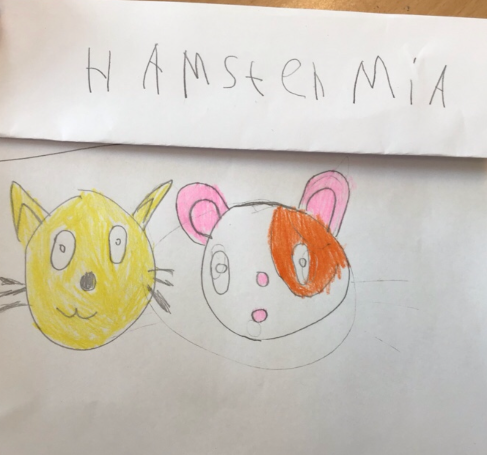 Ingen bild tillgänglig